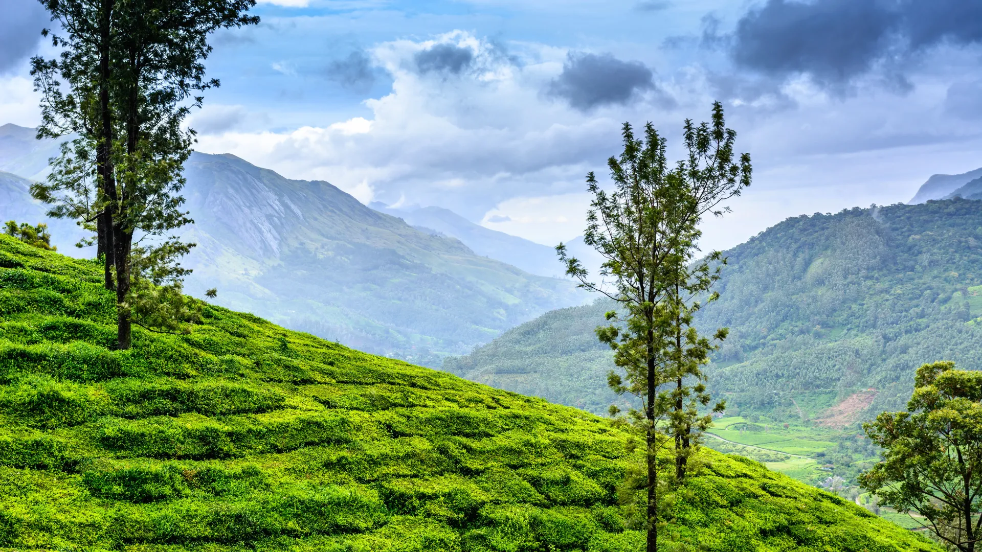 Munnar 