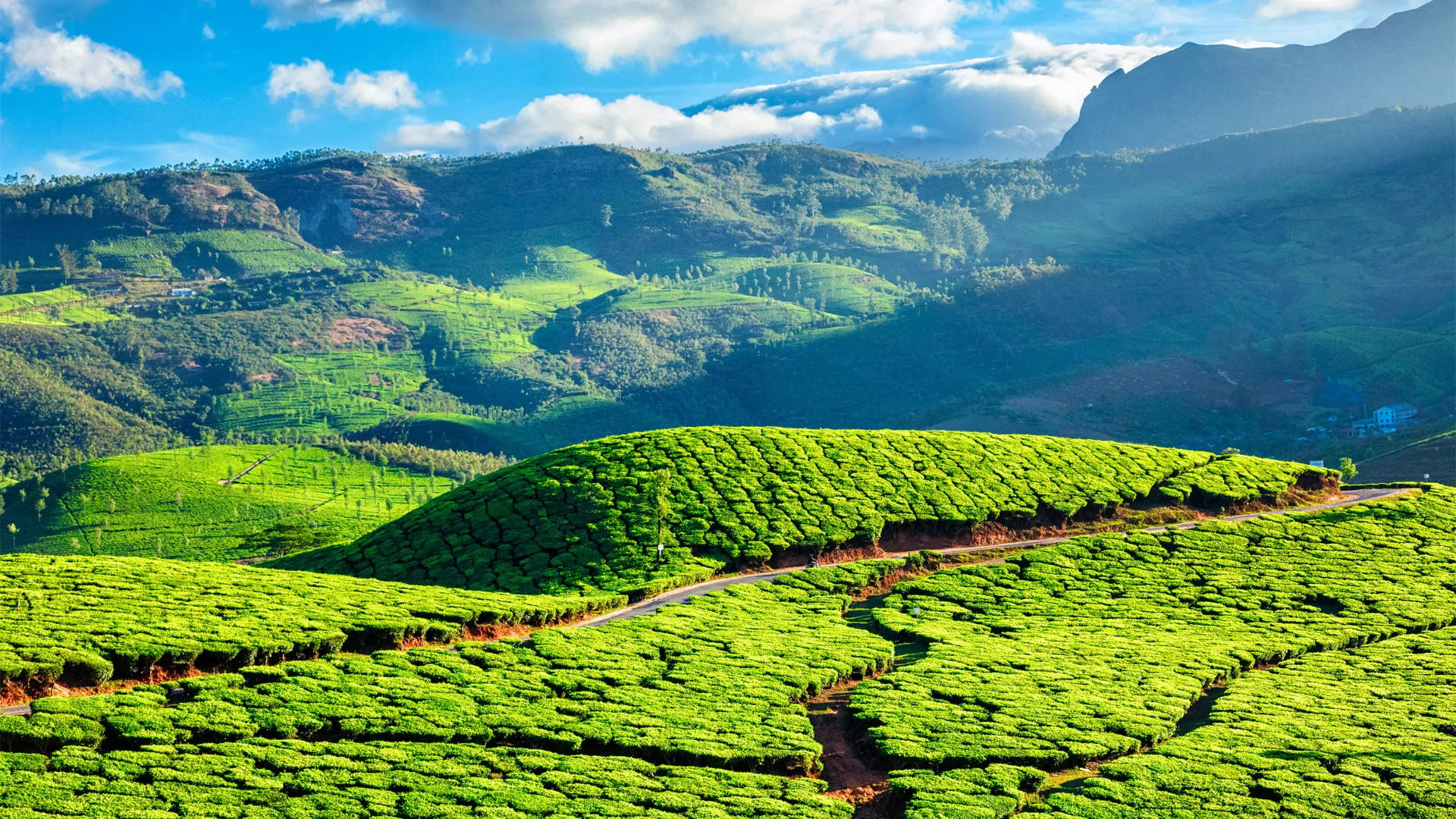 Munnar