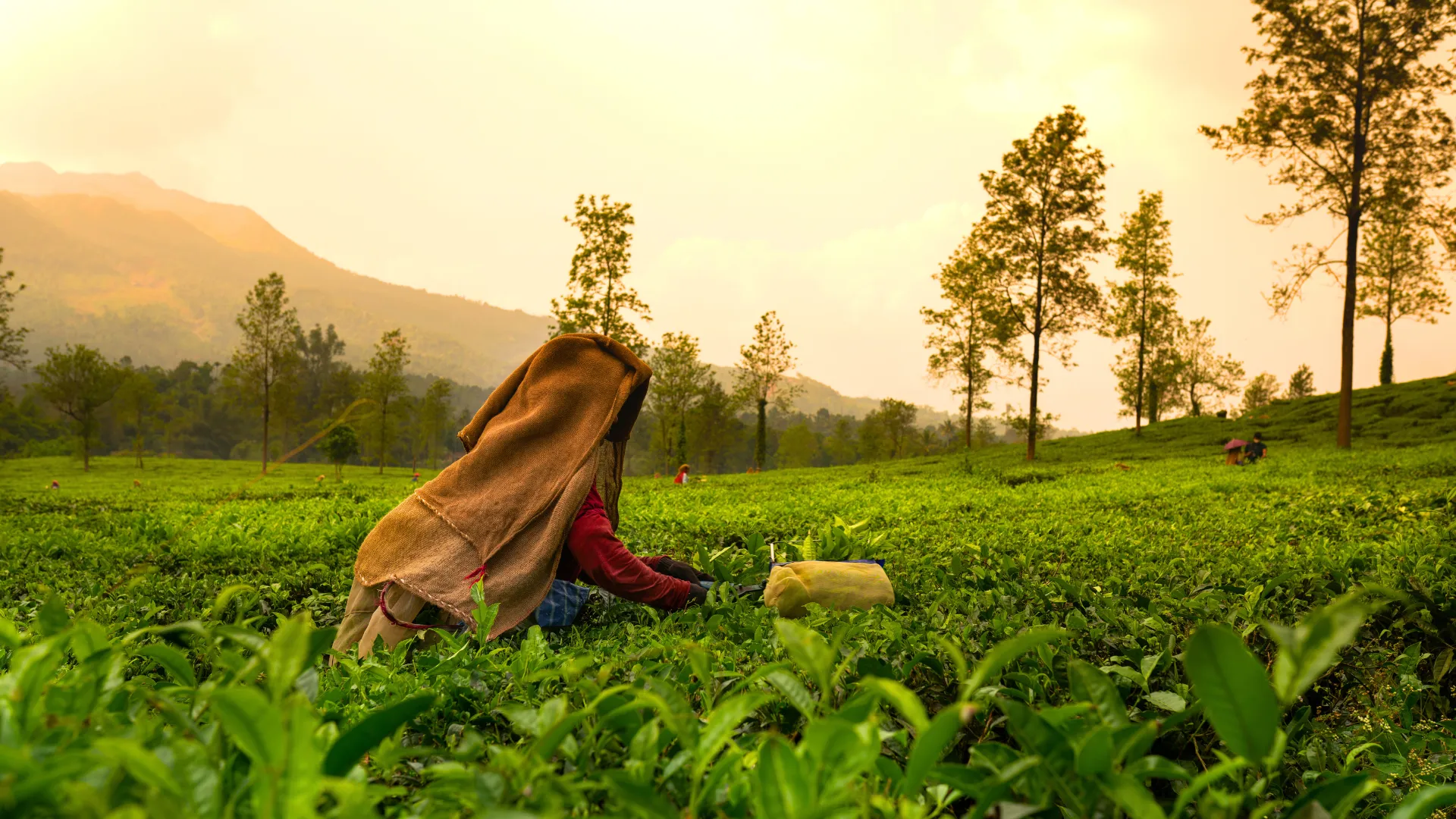 Thekkady