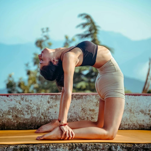 Rishikesh Yoga