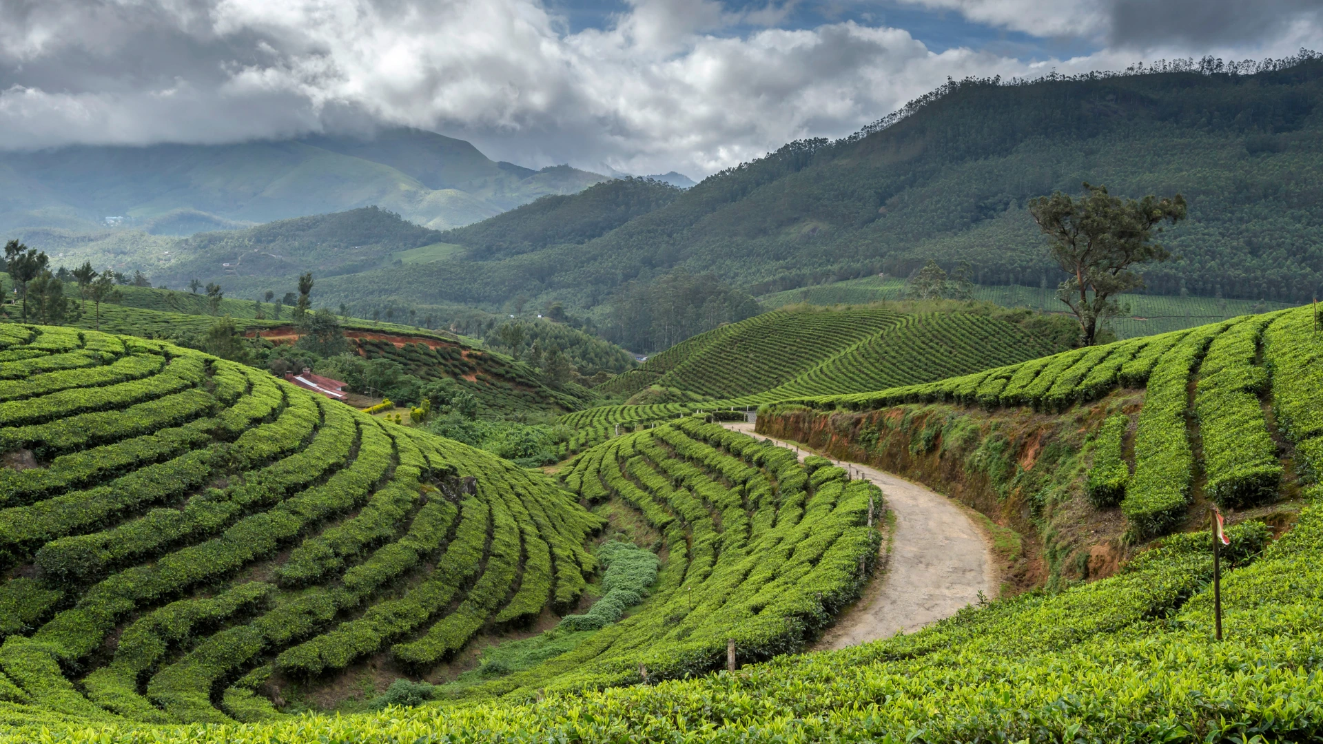 Kerala