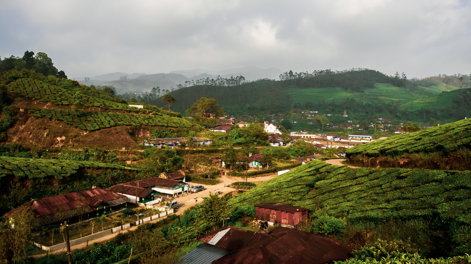 Kerala garden