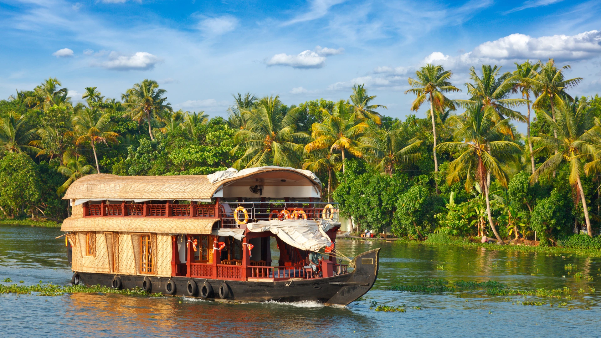 Alleppey Bacwaters