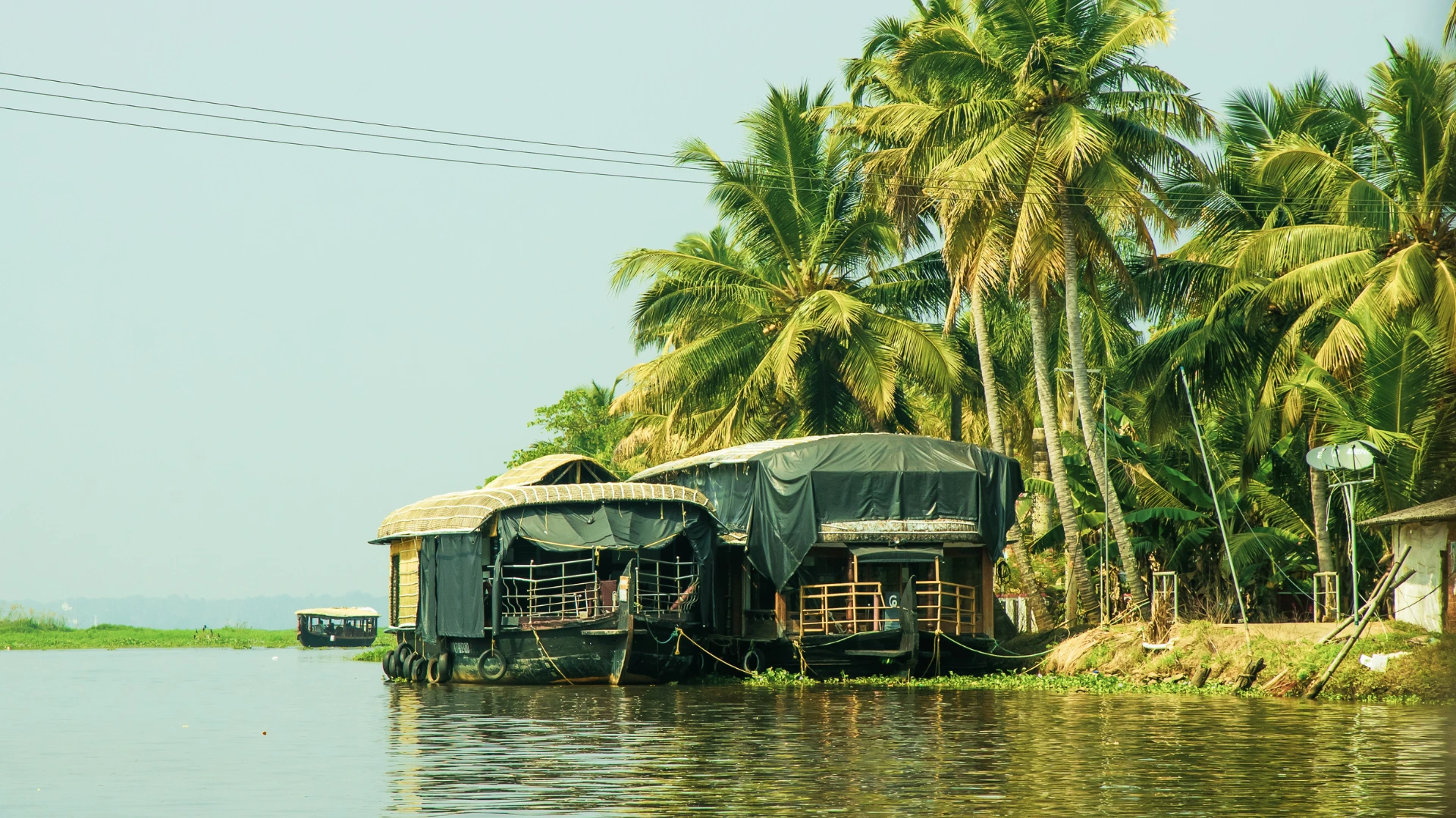 Alleppey Bacwaters