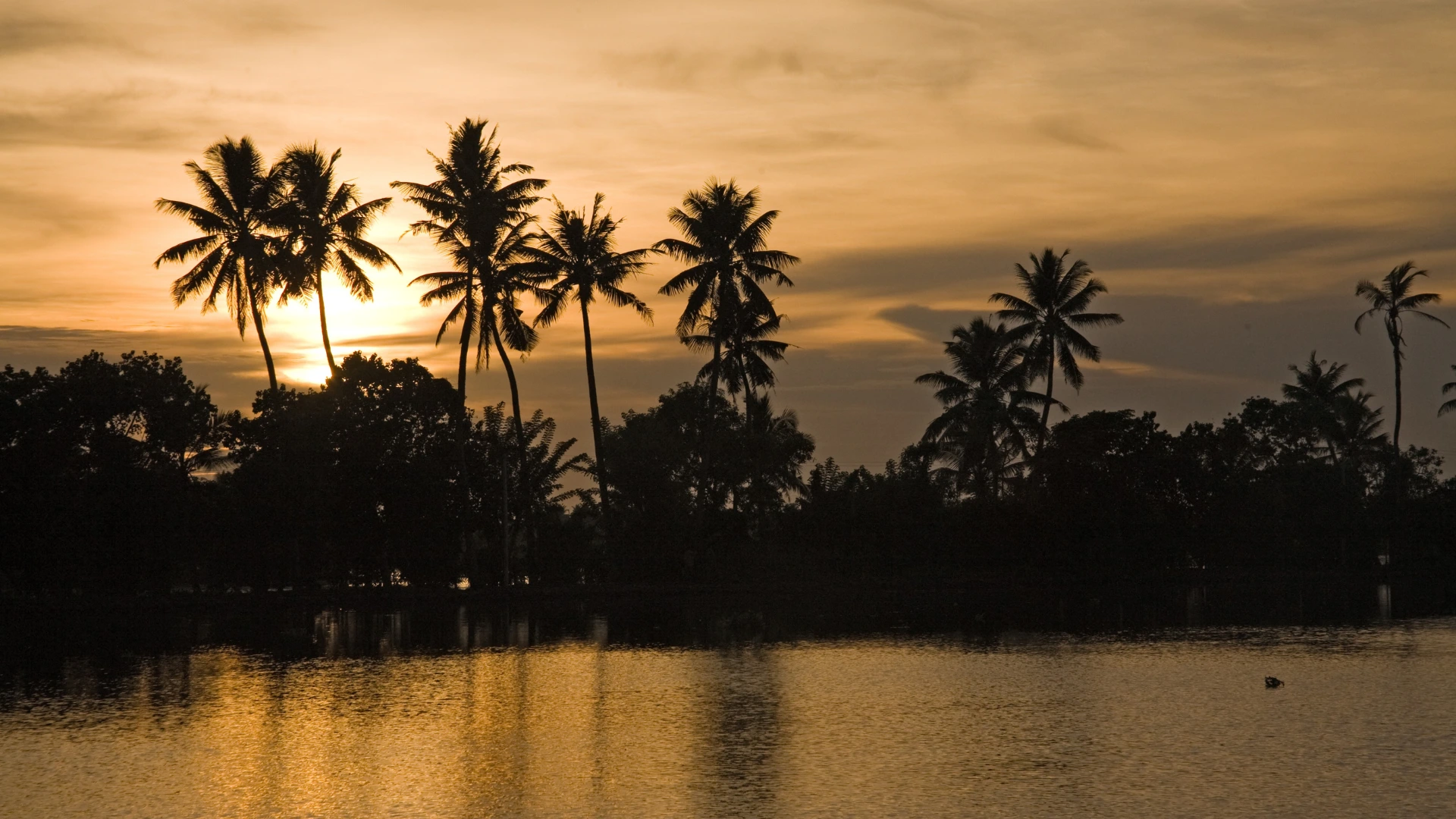 Alleppey Bacwaters