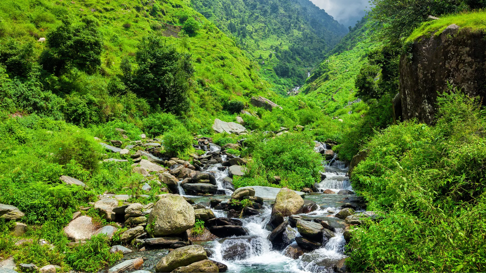  Dharamshala Sightseeing